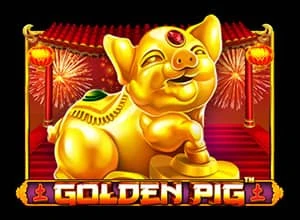 Golden Pig