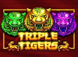 Triple Tigers